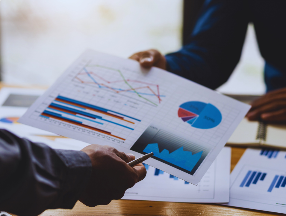 BUSINESS ADVISORY & PROJECT MANAGEMENT